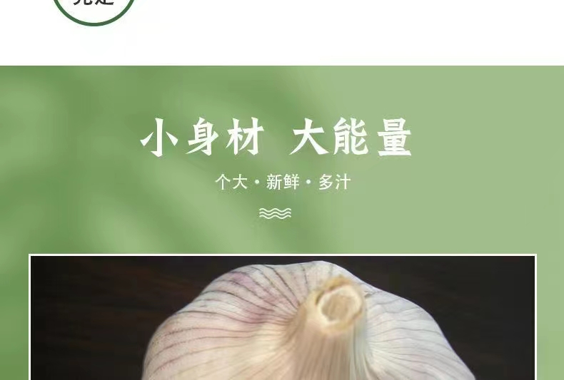 農家大(dà)蒜子 詳情9.jpg